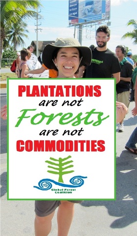 plantaciones no son bosques