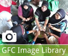 GFC Image Library